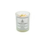 Κερί Αρωματικό Σε Στρογγυλό Βάζο Με Αποξηραμένα 200g Fairy Tail